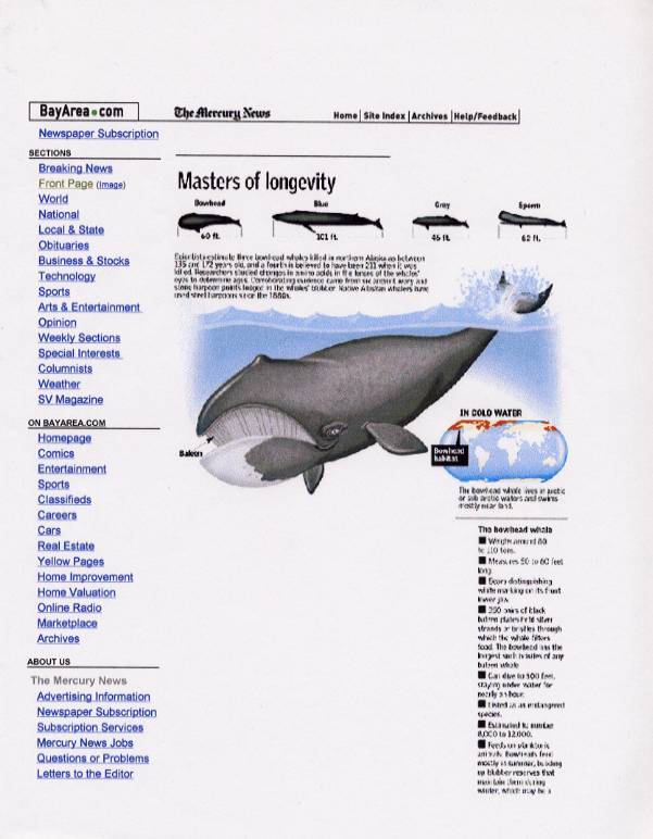 whale-pg1.jpg (54455 bytes)
